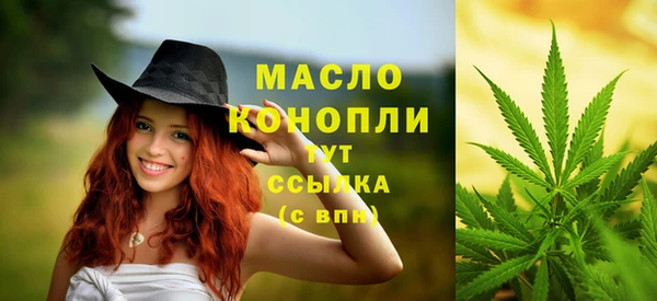 прущий лед Абаза
