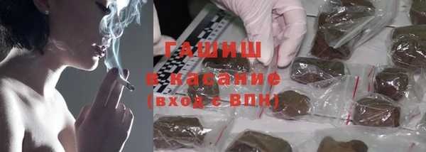 прущие грибы Абинск