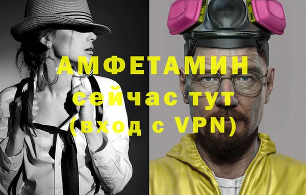 прущие грибы Абинск