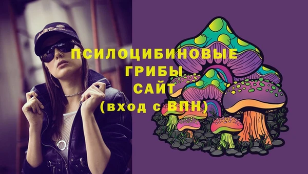 прущий лед Абаза