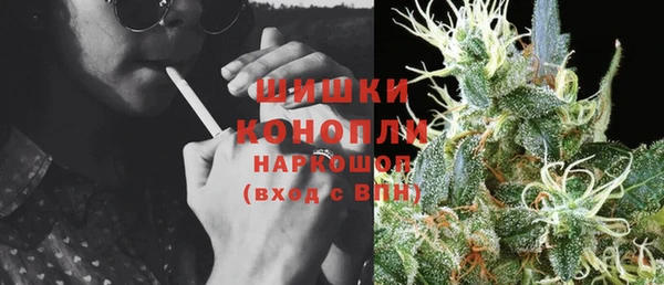 прущие грибы Абинск
