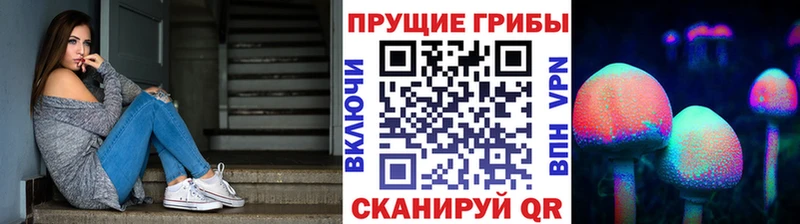 Псилоцибиновые грибы Magic Shrooms  KRAKEN сайт  Торопец  сколько стоит 